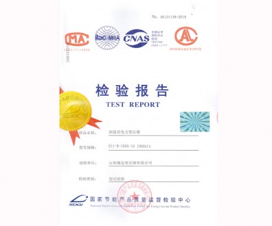 油浸式電力變壓器檢驗(yàn)報(bào)告